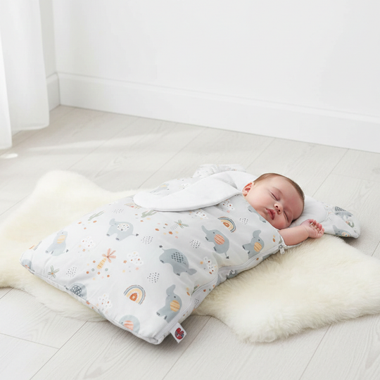 Baby Carry Nest With Head Pillow