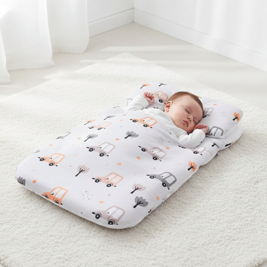 Baby Carry Nest With Head Pillow
