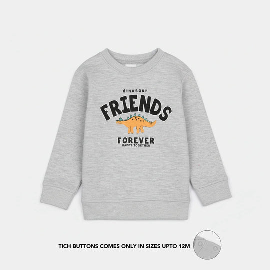 Infant Boys Fleece Sweatshirt Friends - Grey