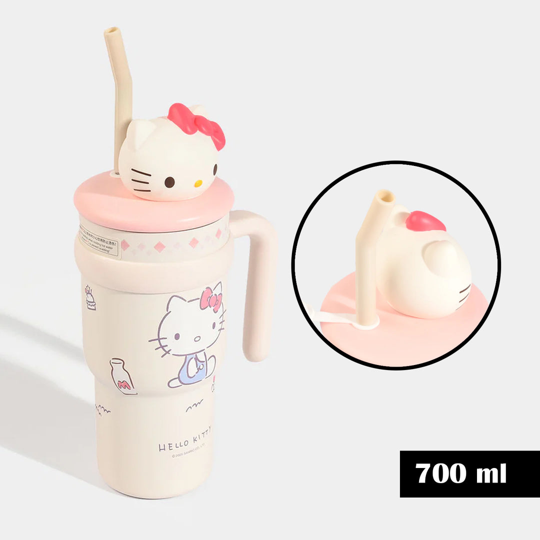 Stainless Steel Water Bottle | 700ml