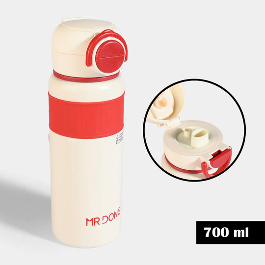 WATER BOTTLE STAINLESS STEEL|700ML