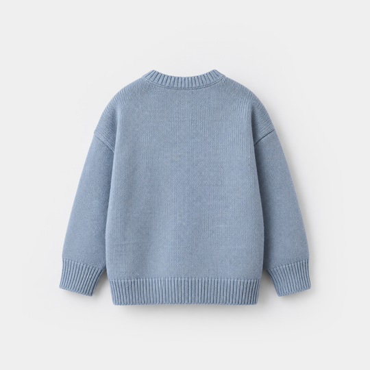 Infant Boys Acrylic Sweater - Traffic - Light Blue