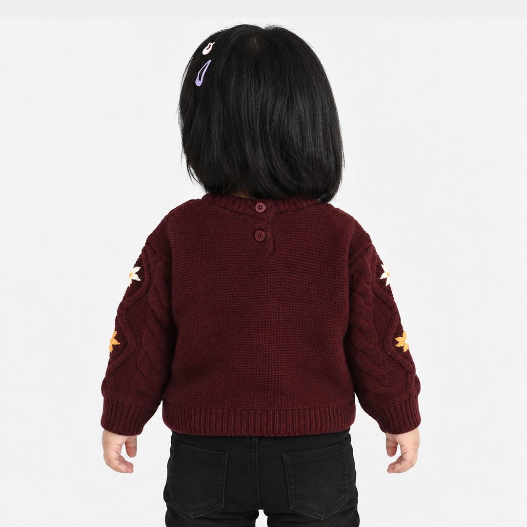 Infant Girls Acrylic Sweater-Fern-MAROON