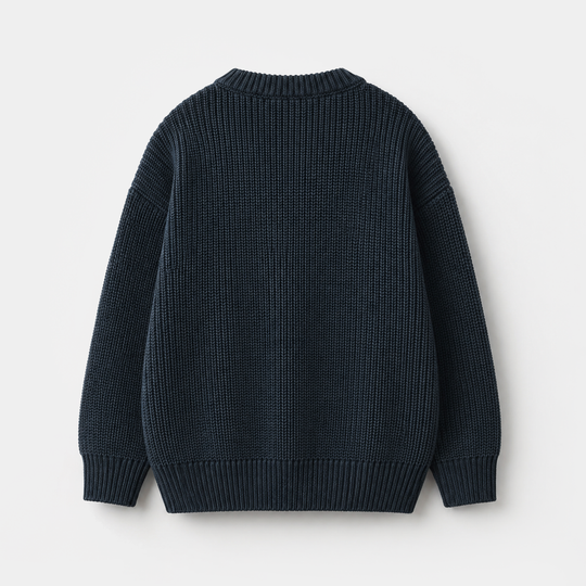Boys Acrylic Sweater - Champion - Blue