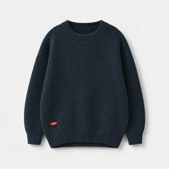 Boys Acrylic Sweater - Champion - Blue