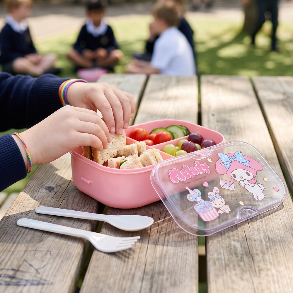 Lunch Box Plastic