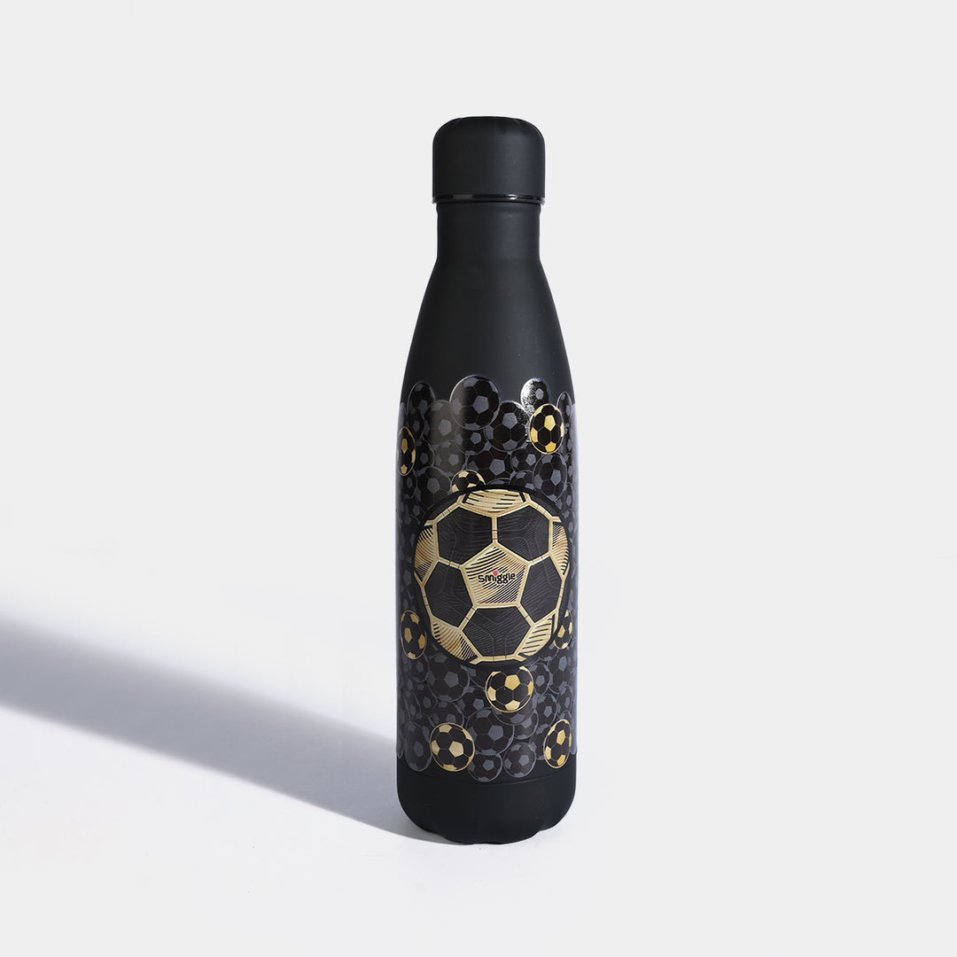 Stainless Steel Water Bottle for Kids