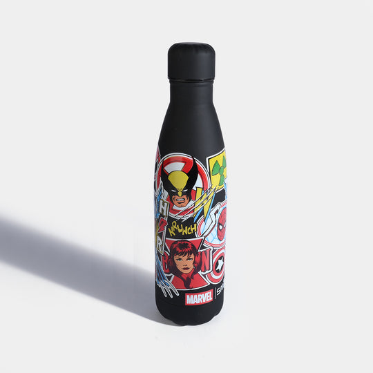 Stainless Steel Water Bottle for Kids