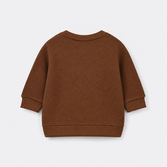 Infant Boys Popcorn Sweat Shirt Usa