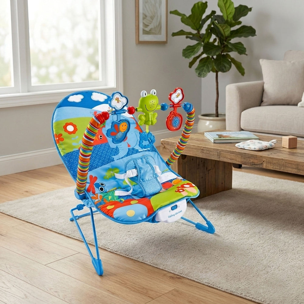Baby Music & Soothe Bouncer 69827