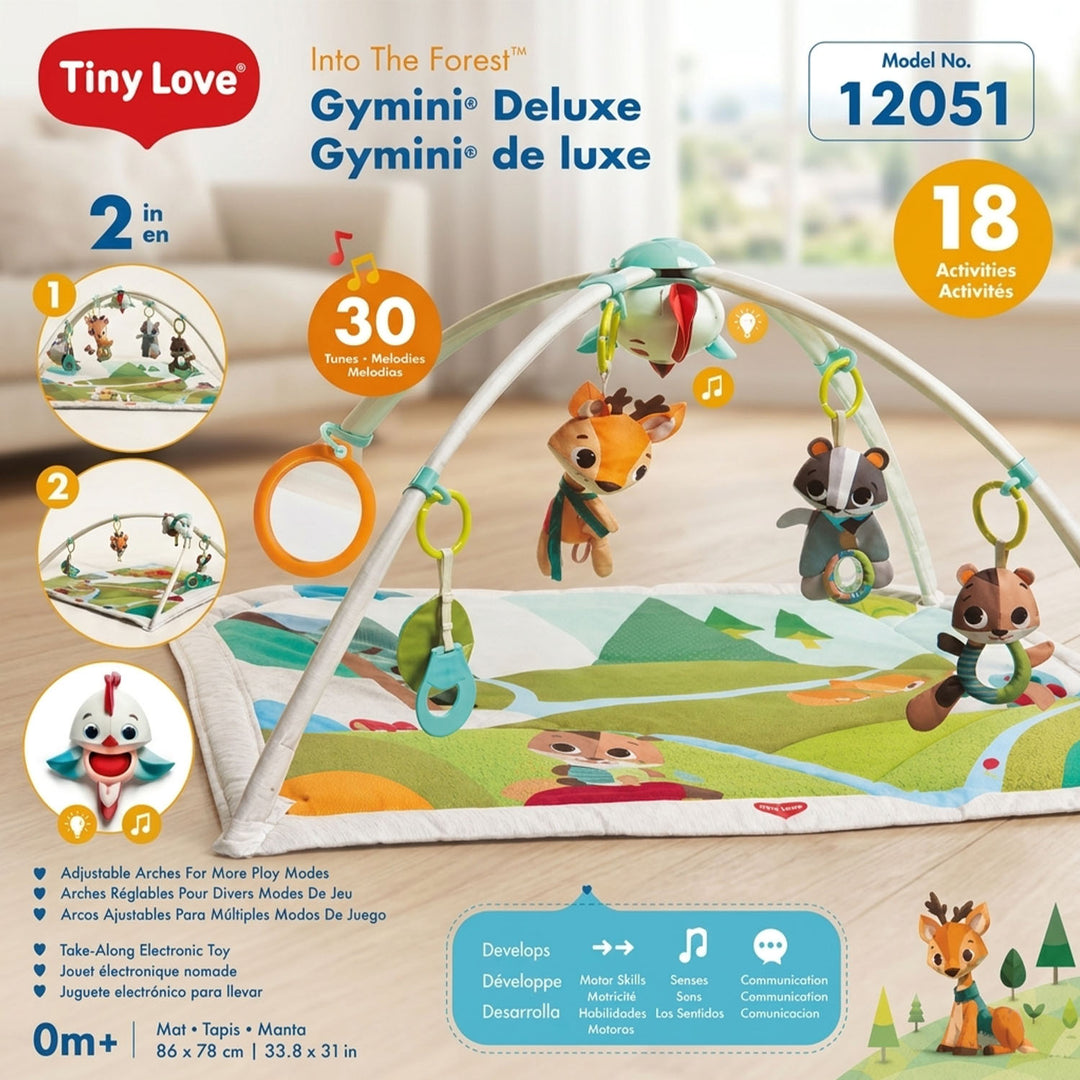 2-in-1 Baby Activity Gym