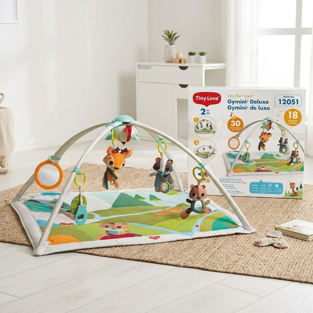 2-in-1 Baby Activity Gym