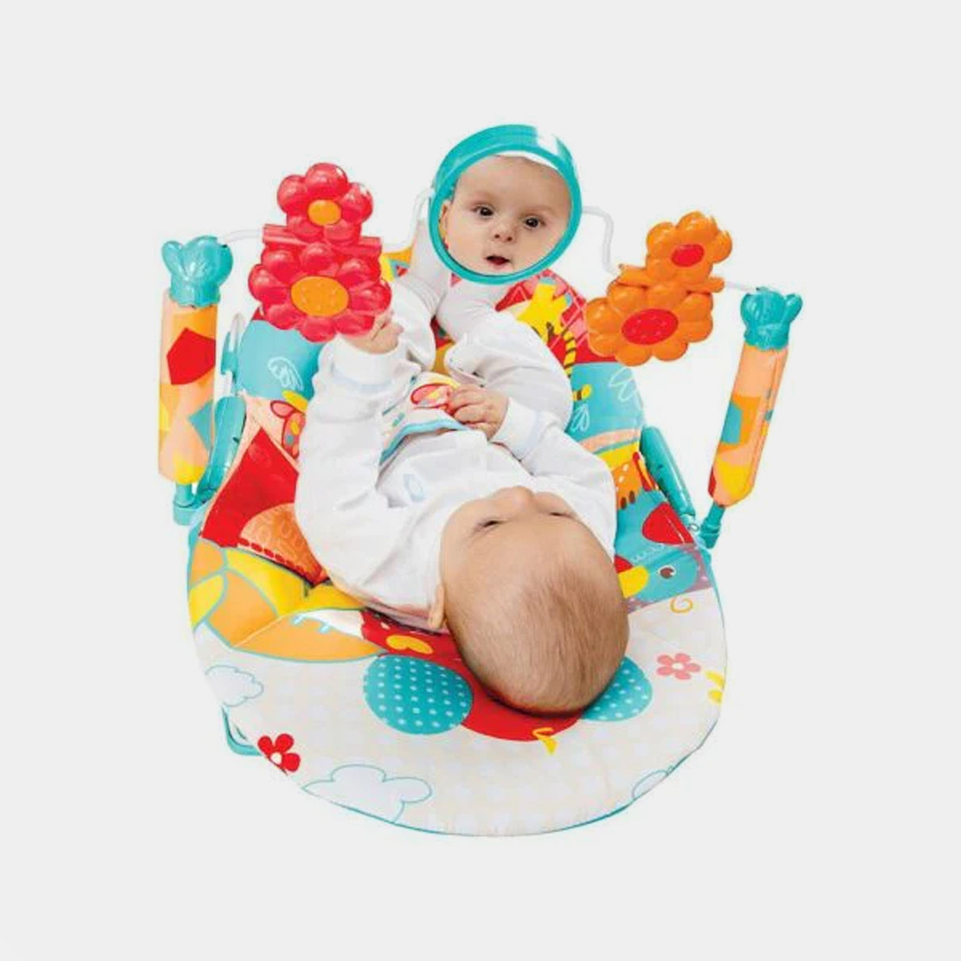 Music & Vibrating Baby Bouncer