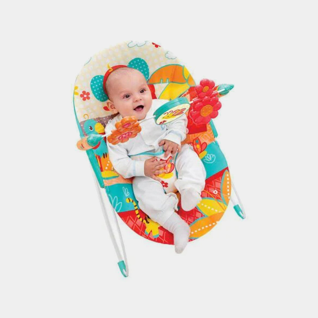 Music & Vibrating Baby Bouncer