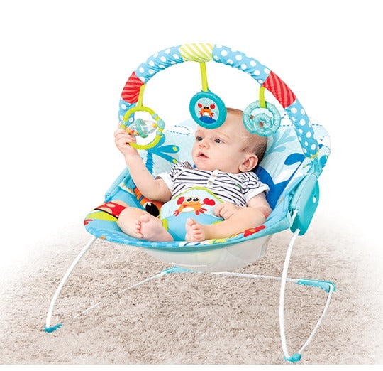 Music & Soothe Bouncer (mastela)