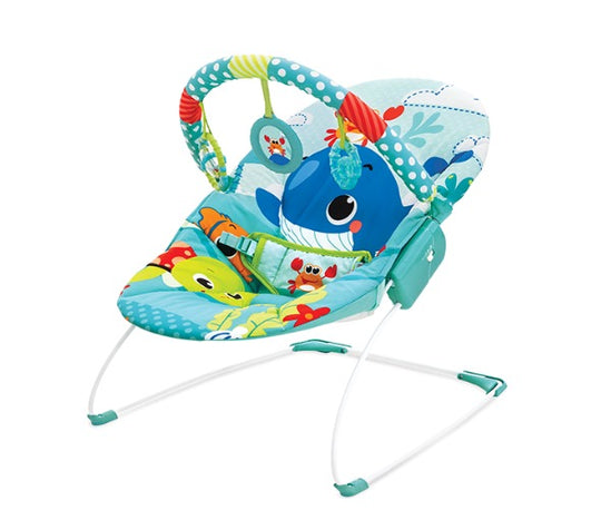 Music & Soothe Bouncer (mastela)