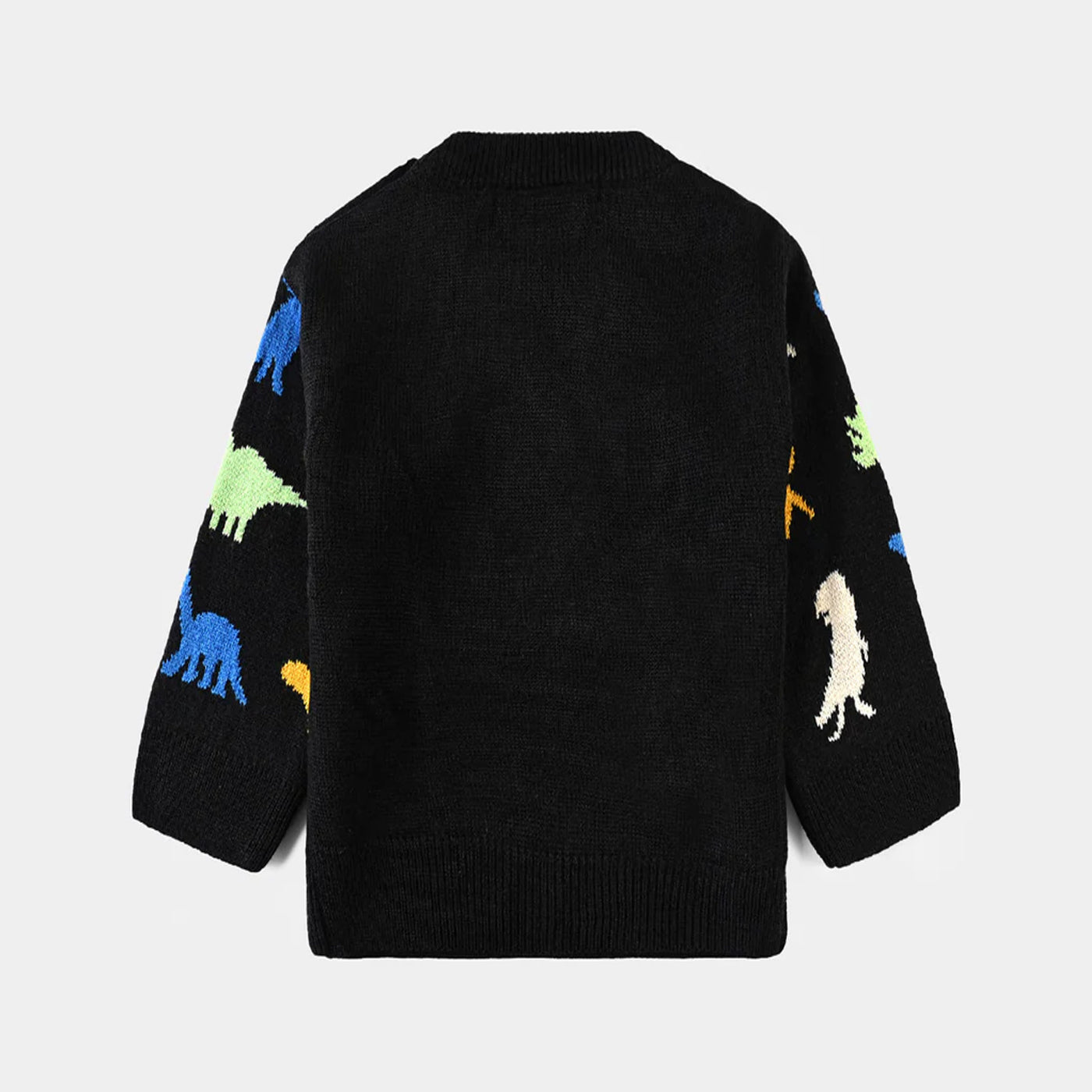 Infant Boys Acrylic Sweater Dino Friends-BLACK