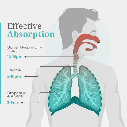 Rechargeable Portable Mesh Nebulizer - Efficient Respiratory Relief Anywhere, Anytime