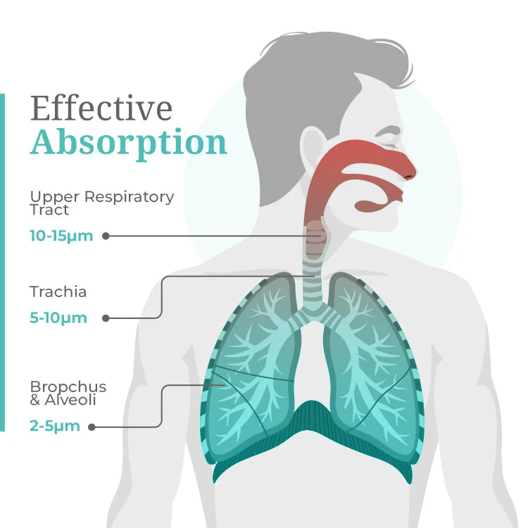 Rechargeable Portable Mesh Nebulizer - Efficient Respiratory Relief Anywhere, Anytime