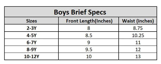 Boys Brief Pack of 2 Solid-White/Blue