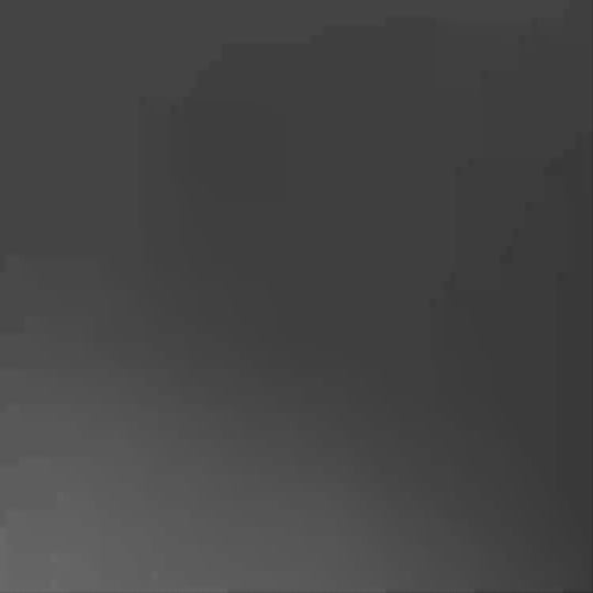 Remote Control Dinosaur T-Rex