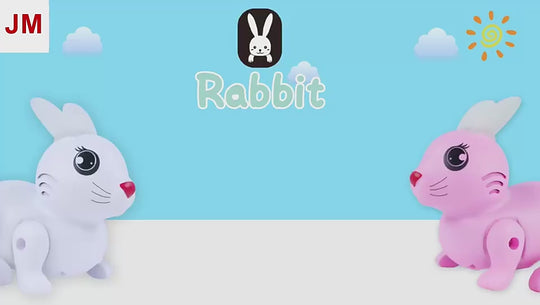 Rabbit Music/Lighting Toy For Kids - White