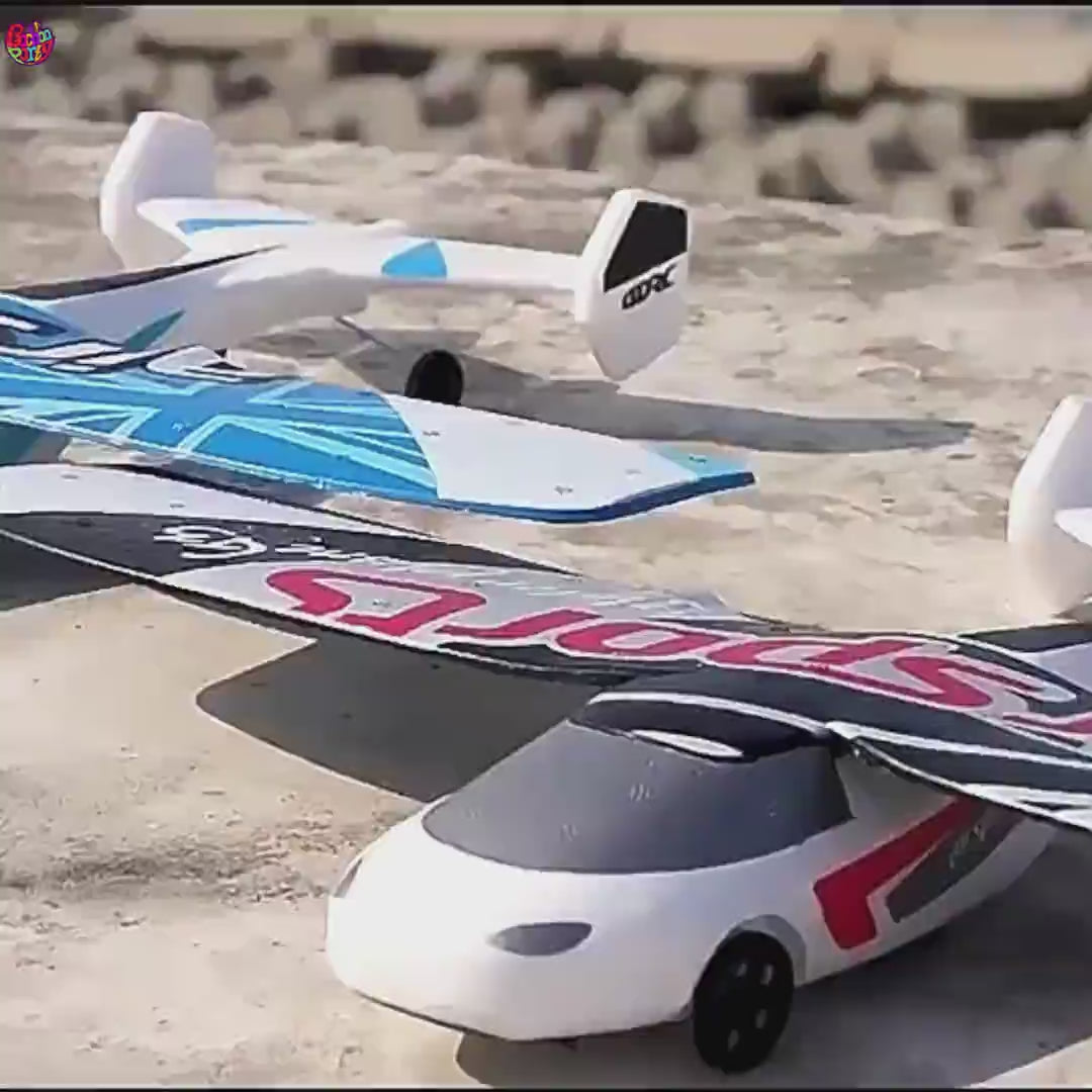 Remote Control Aircraft/Glider Plane