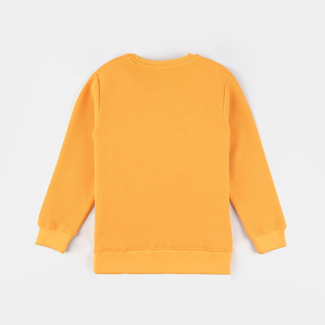 Boys Jacquard Sweatshirt Never-Citrus