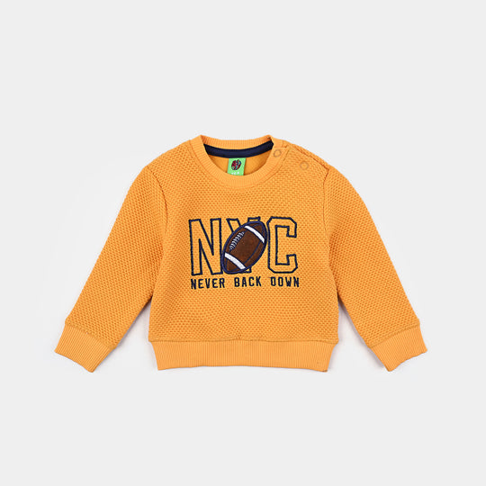 Infant Boys Jacquard Sweatshirt Never-Citrus