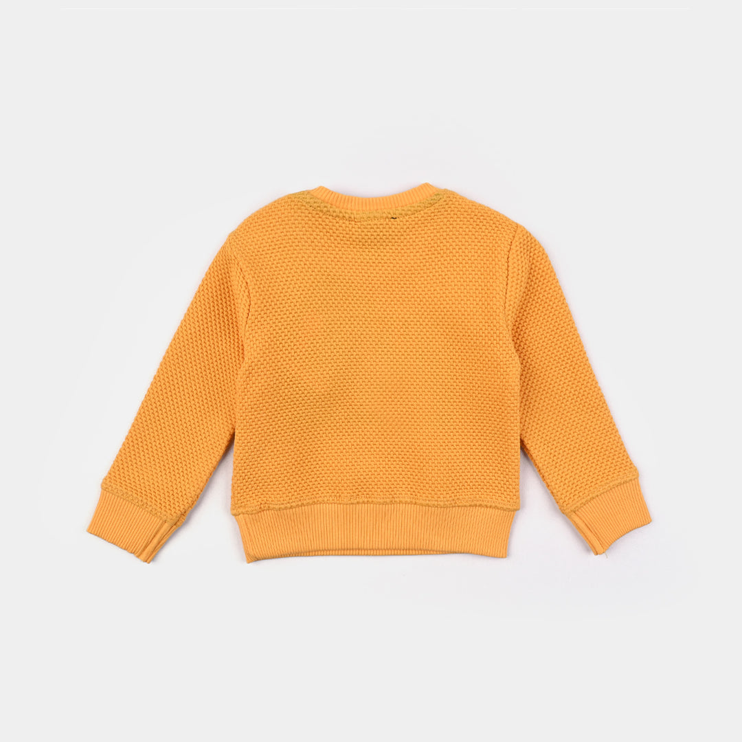 Infant Boys Jacquard Sweatshirt Never-Citrus