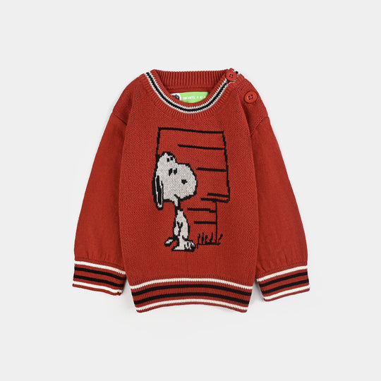 Infant Boys Cotton Sweater-Rust