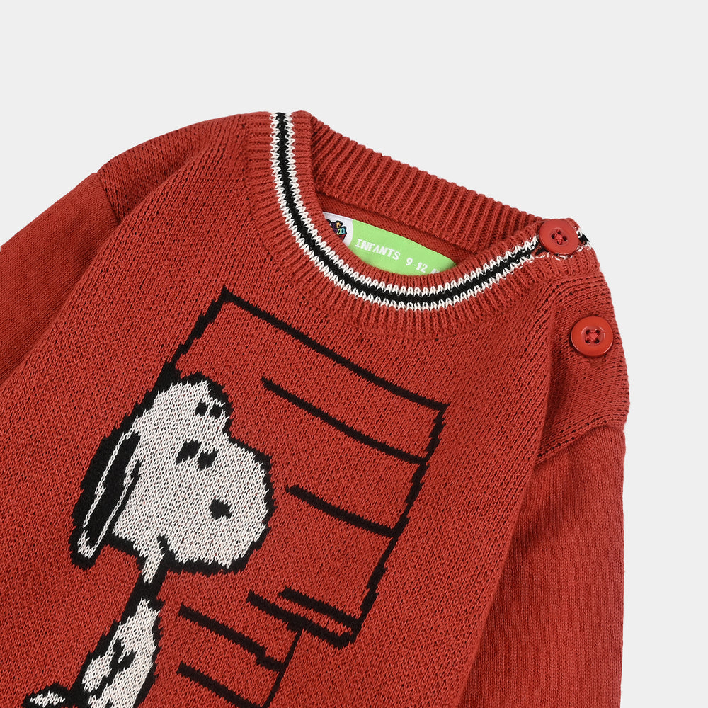 Infant Boys Cotton Sweater-Rust