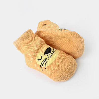 NEW BORN BABY 1 PAIR SOCKS | 0-6M