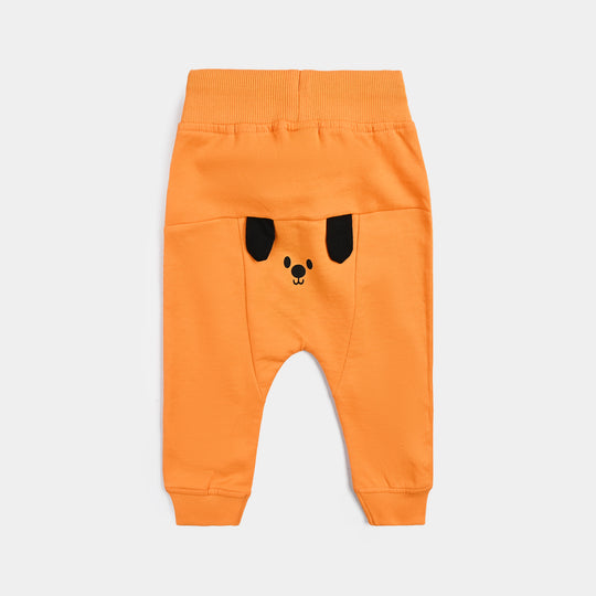 Infant Boys Cotton Terry Sleeping Pyjama Dog-Orange