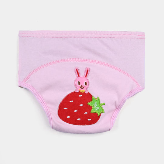 Baby Cloth Reusable Diaper Panty | 2-3Y