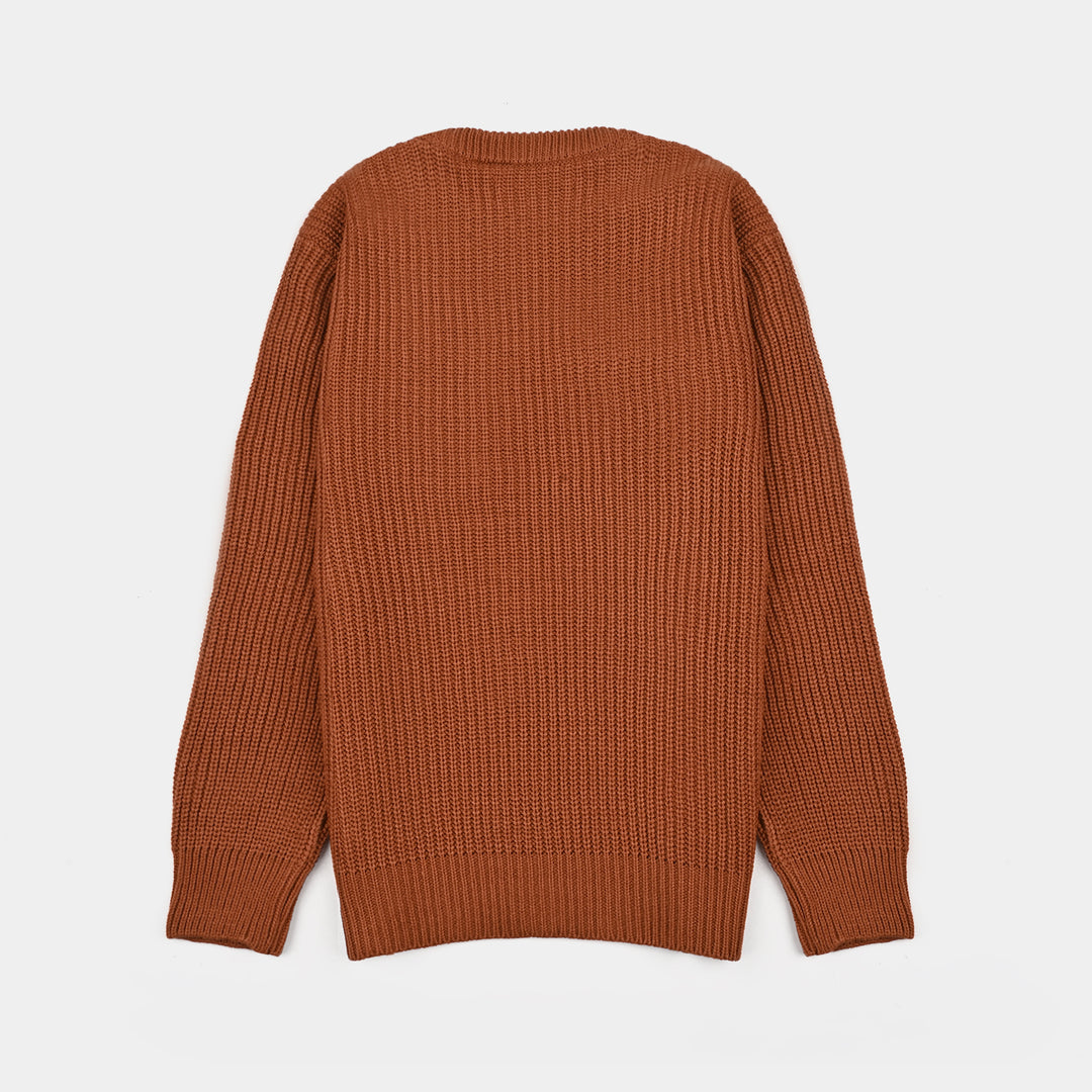 Boys Feather-Acrylic Sweater-New York-BROWN