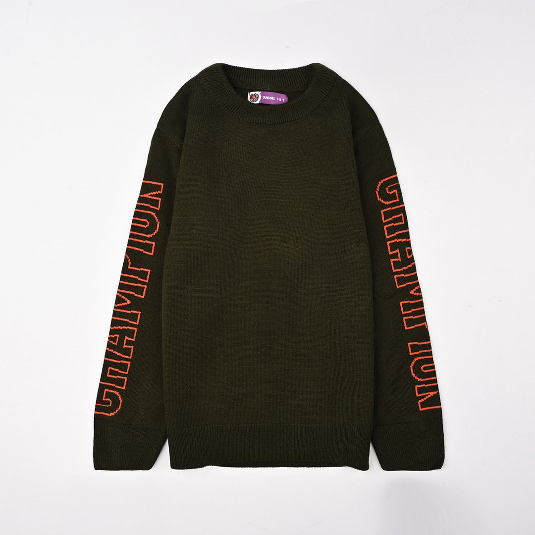 Boys Acrylic Sweater-Champion-GREEN