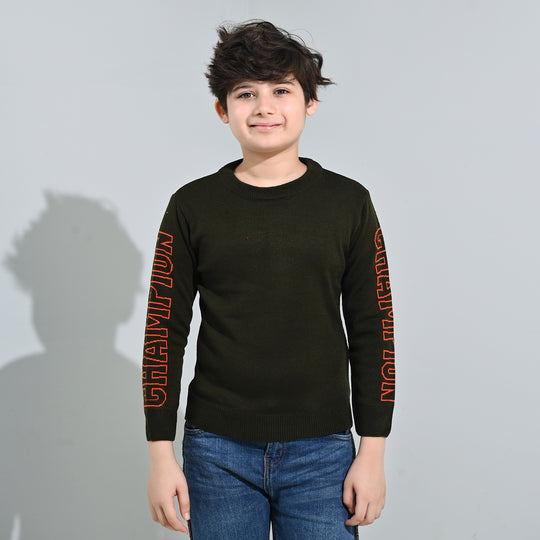Boys Acrylic Sweater-Champion-GREEN