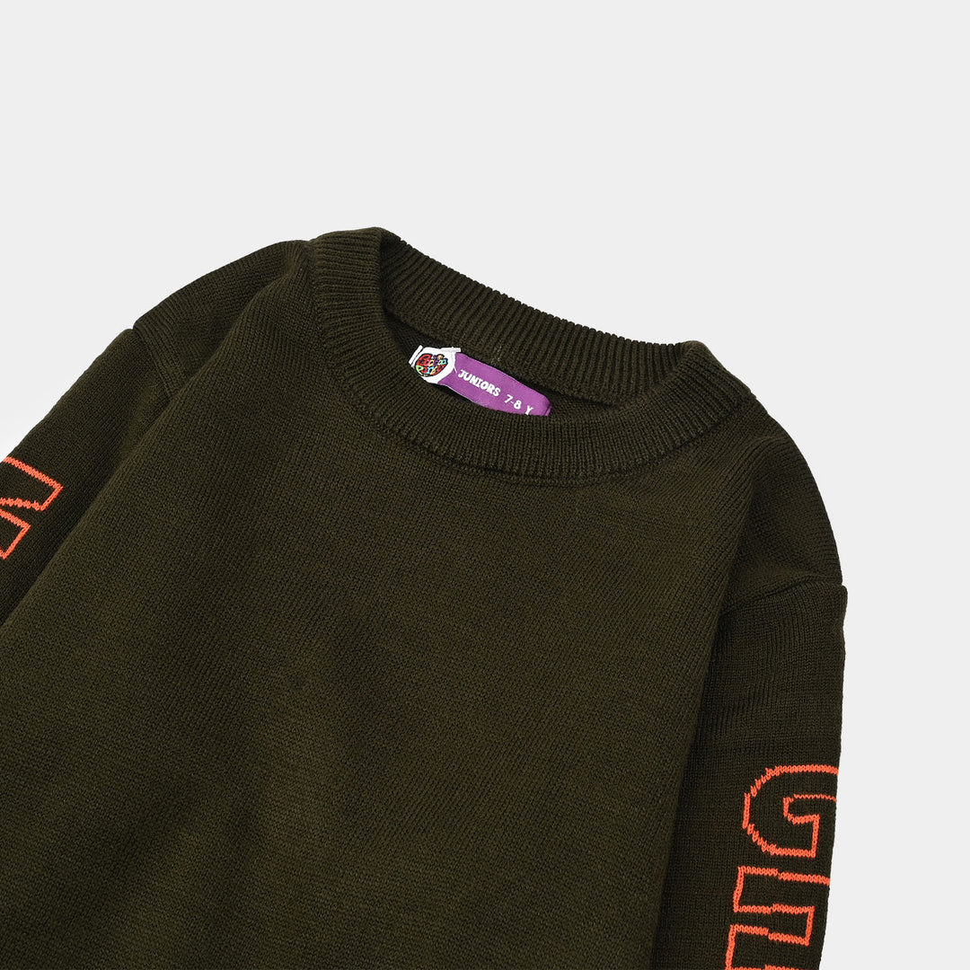 Boys Acrylic Sweater-Champion-GREEN