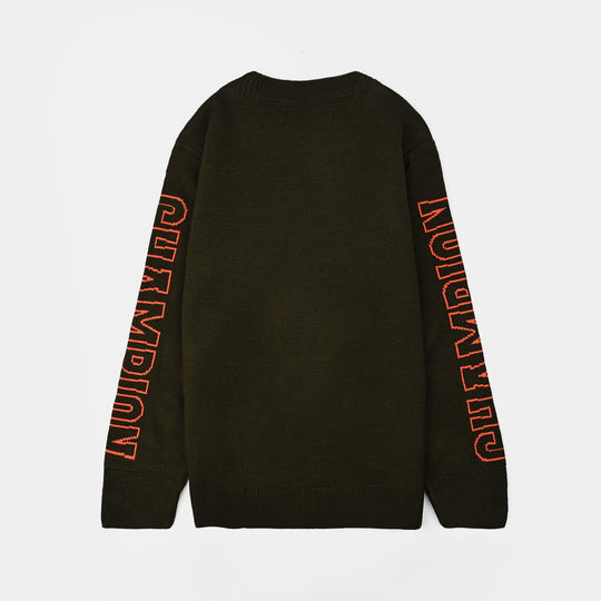 Boys Acrylic Sweater-Champion-GREEN