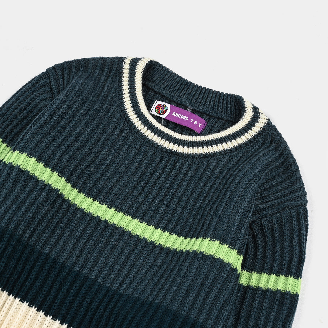 Boys Acrylic Sweater-Garden Fresh-Multi