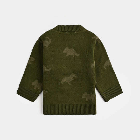 Infant Boys Acrylic Sweater-Roar - Green