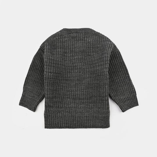 Infant Boys Acrylic Sweater-Dig Dig-GREY