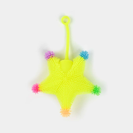 Puffer Star Sensory Toy