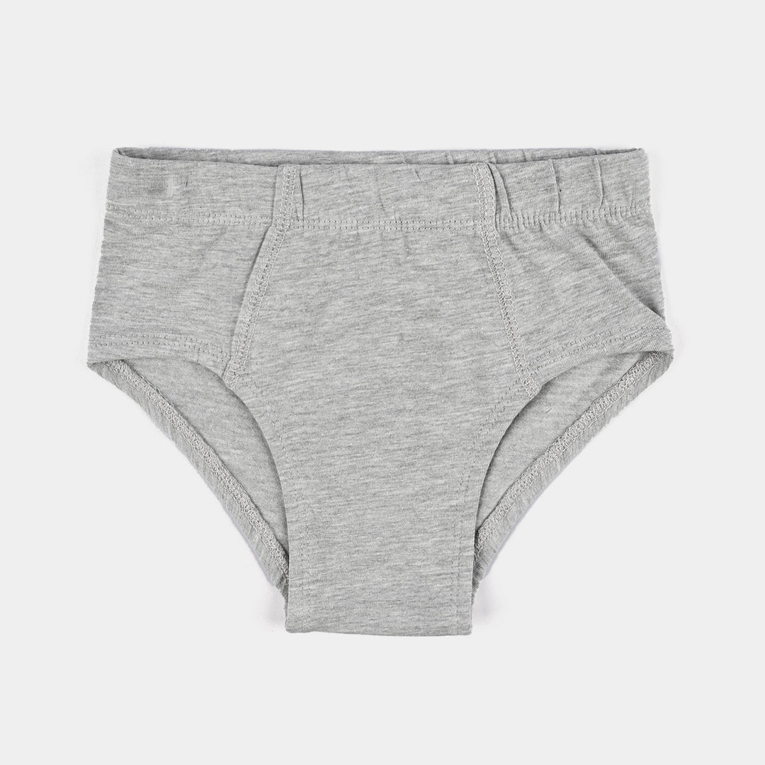 Boys Cotton Jersey Brief Basic-Pack of 2-H.Grey/Black