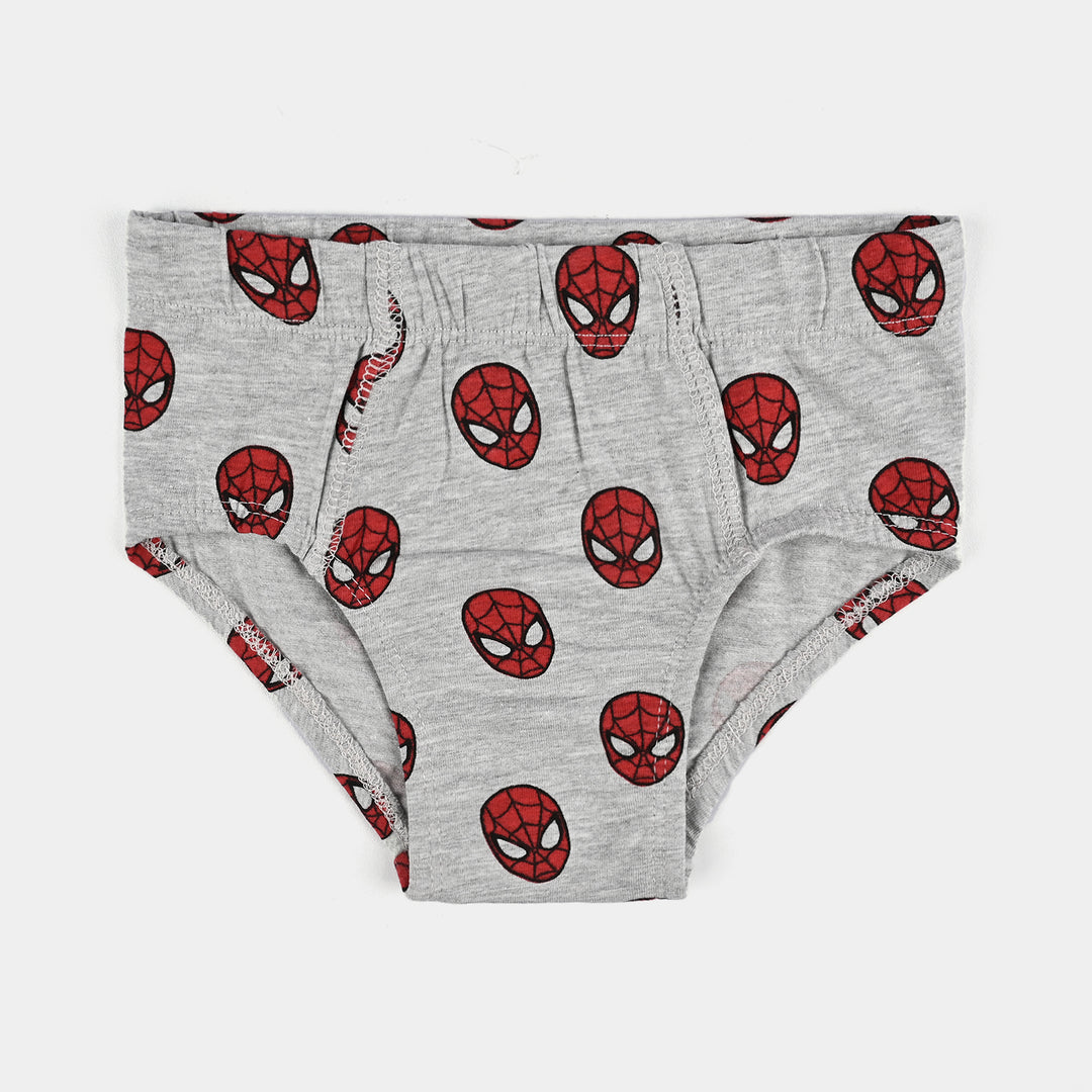 Boys Cotton Jersey Brief-Pack of 2-H.Grey/Blue