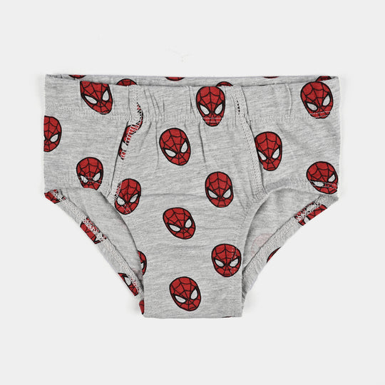 Boys Cotton Jersey Brief-Pack of 2-H.Grey/Blue
