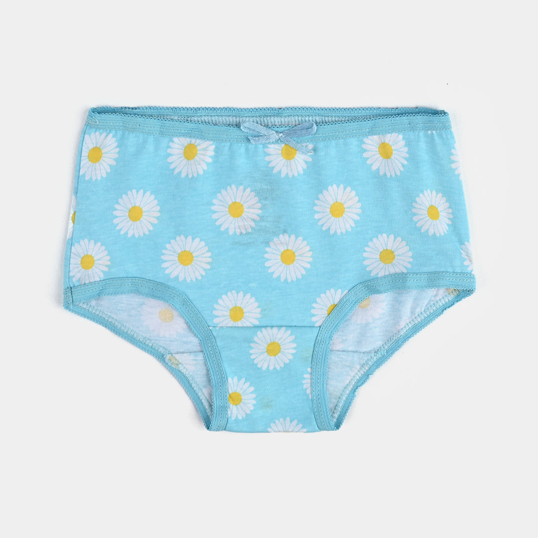 Pack OF 2 Girls Cotton Jersey Panties Flower & Stripe