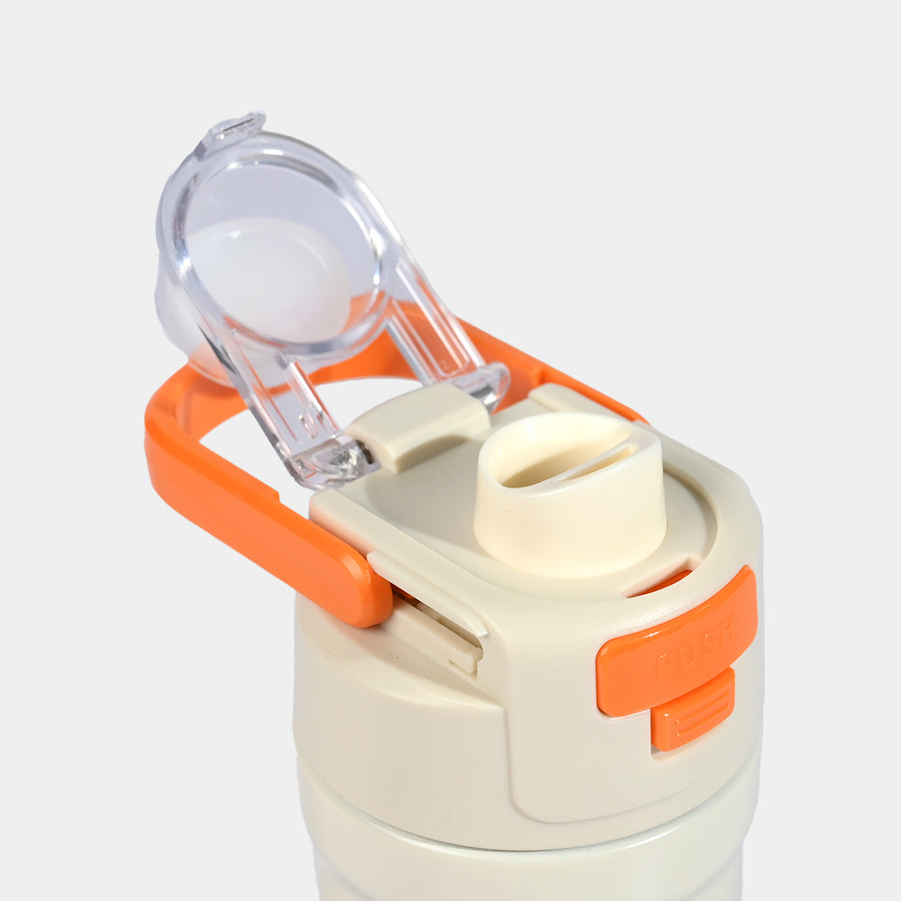 Water Bottle Stainless Steel | 550ML