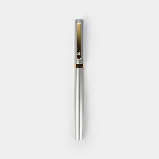 Fancy Fountain Ink Pen with Plastic Case